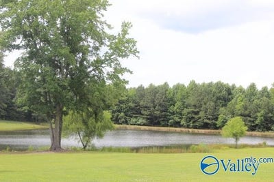 /international/us/139-county-road-638-pisgah-al-110100256961/?lang=zh-tw