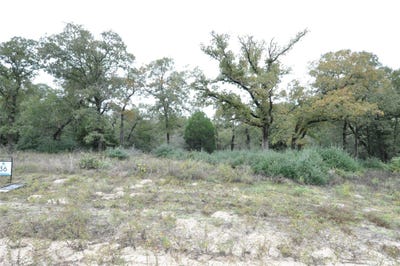 /international/us/oakview-ln-thrall-tx-110108474541/