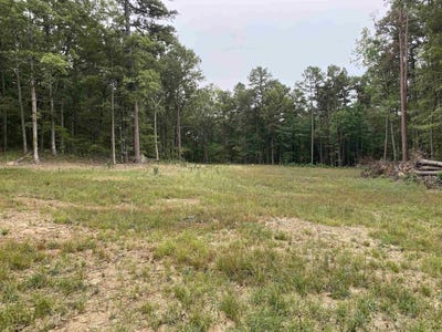 /international/us/952-wildwood-lane-marshall-ar-110102267575/