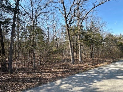 /international/us/orchard-lot-5-8-1-8-flippin-ar-110105939303/