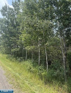 /international/us/tbd-s-peary-drive-eveleth-mn-110101237876/?lang=zh-tw