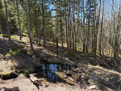 /international/us/bear-gulch-rd-red-feather-lakes-co-110103406863/