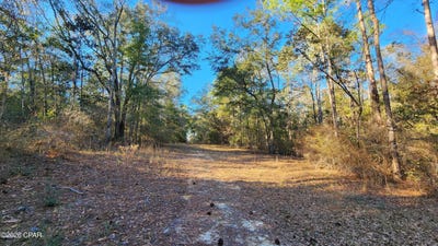 /international/us/1221-js-jones-road-graceville-fl-110109548082/