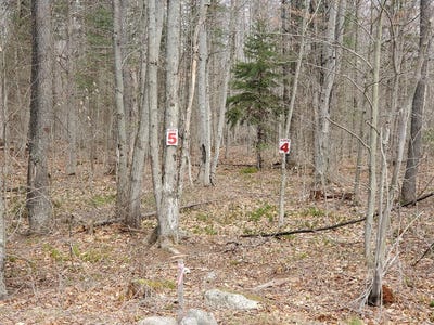 /international/us/lot-5-daigneau-trail-merrillsville-ny-110003460928/?lang=zh-tw