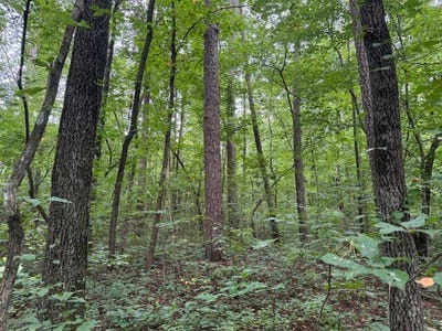 /international/us/0-carnes-chapel-rd-attalla-al-110101392458/?lang=zh-tw