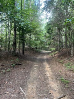 /international/us/s-county-road-437-ripley-ms-110101302972/