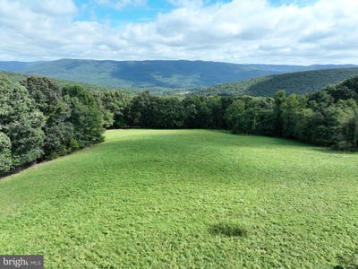 /international/us/129-93-off-strawderman-road-mathias-wv-110110338042/