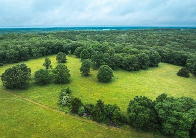 /international/us/14225-s-highway-68-saint-james-mo-110100329583/