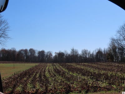 /international/us/boyd-rd-wingo-ky-110103974168/