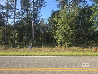 /international/us/12150-bromley-road-stapleton-al-110120155054/