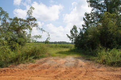 /international/us/vacant-pittman-hill-rd-marianna-fl-110120551455/