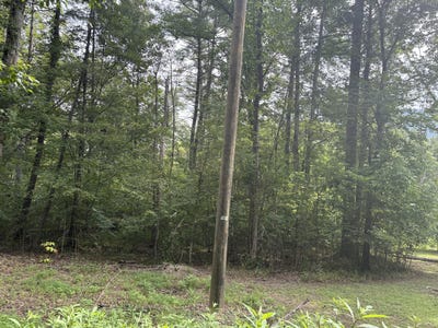 /international/us/123-n-river-rd-covington-va-110109841787/