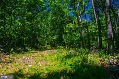 /international/us/poplar-trl-lot-37-winchester-va-110108585826/