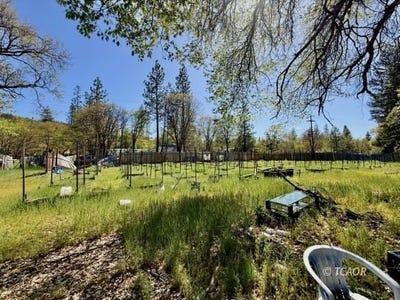 /international/us/180-ryan-ln-hayfork-ca-110108130236/
