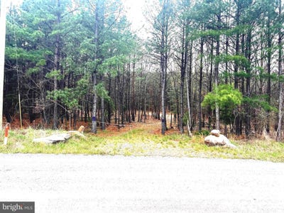 /international/us/85-trough-view-road-moorefield-wv-110107252968/