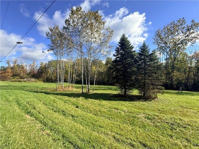 /international/us/4048-deneef-road-lyons-ny-110120459422/