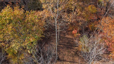/international/us/lot-54-the-reserve-at-cliffview-zoe-ky-110095513202/?lang=en
