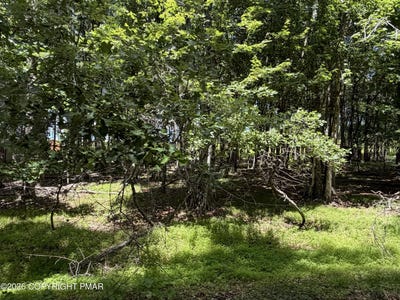 /international/us/kiv1014-basswood-court-albrightsville-pa-110105076245/