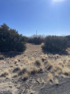 /international/us/74-dawn-lane-concho-az-110080309299/