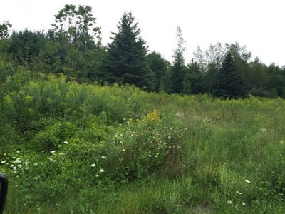 /international/us/139-saxby-road-windsor-ny-110101119215/