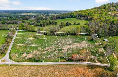 /international/us/8-lots-webbs-camp-joppa-rd-walling-tn-110107254385/