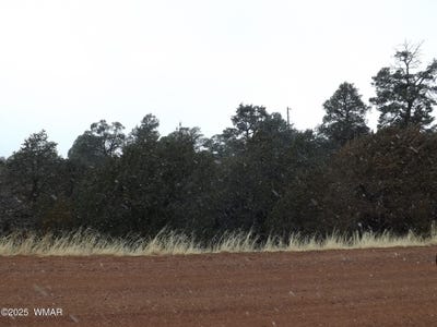 /international/us/3500-3506-evergreen-drive-overgaard-az-110098528951/