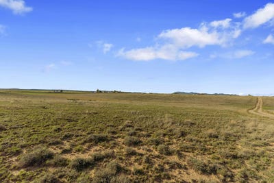 /international/us/49-cayetano-road-moriarty-nm-110120620231/