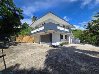 /international/us/gurabo-gurabo-pr-110110334576/
