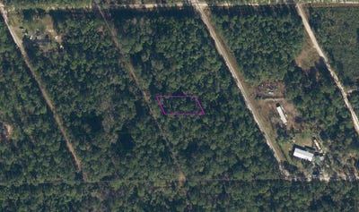 /international/us/310-heron-road-satsuma-fl-110097697404/