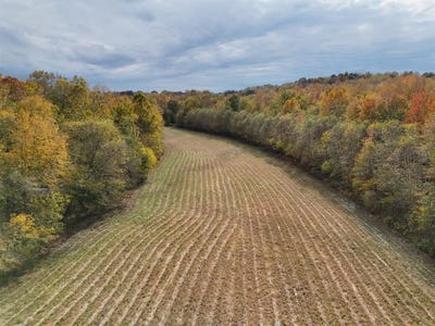 /international/us/1529-holston-hollow-road-morgantown-ky-110105727894/