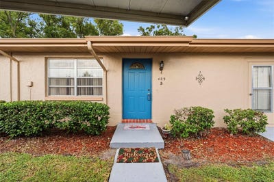 /international/us/409-feltham-trail-sun-city-center-fl-110110104226/