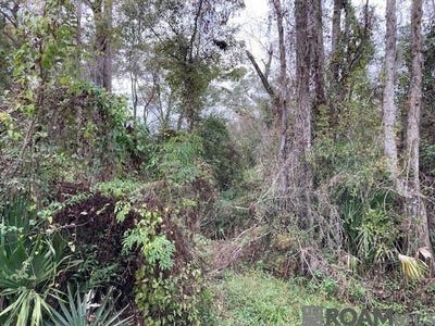 /international/us/lot-32-lucien-st-denham-springs-la-110108225805/