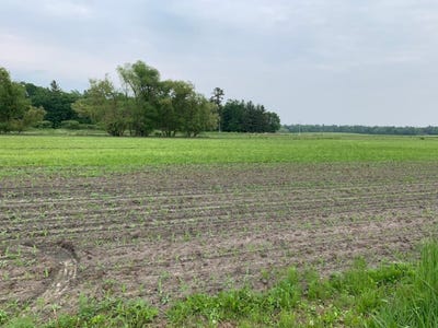 /international/us/40-acres-5th-avenue-camp-douglas-wi-110105426560/