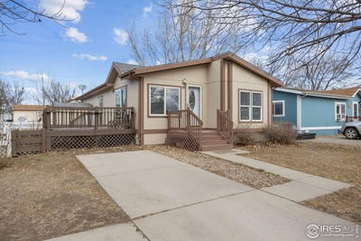 /international/us/3291-mammoth-longmont-co-110104947626/