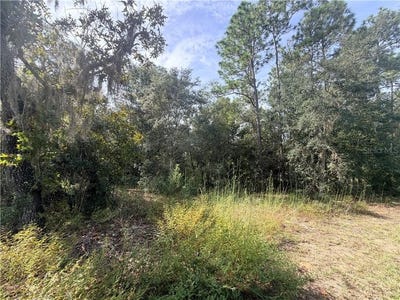/international/us/5066-e-anna-jo-drive-inverness-fl-110120408226/