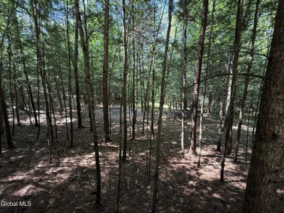 /international/us/57-hidden-valley-road-lake-luzerne-ny-110119759140/