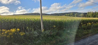 /international/us/w-bakersville-edie-road-somerset-pa-110120001206/