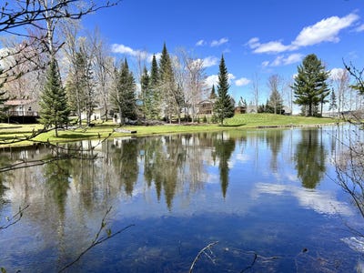 /international/us/l-100-101-high-pine-court-lot-100-101-wolverine-mi-110105957772/