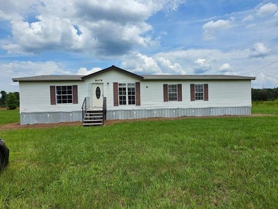 /international/us/3750-little-hurricane-creek-rd-blackshear-ga-110109063613/