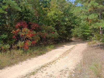 /international/us/tbd-whitacre-run-eminence-mo-110100806861/