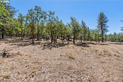 /international/us/nka-wilderness-loop-rd-goldendale-wa-110101591517/