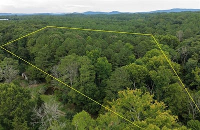 /international/us/honeysuckle-circle-lot-129-ranger-ga-110120483689/