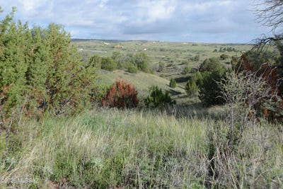 /international/us/kellogg-lane-sonoita-az-110104790108/