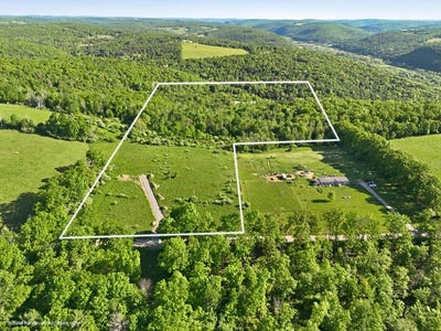 /international/us/hagerman-rd-waverly-ny-110108499734/