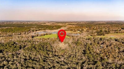 /international/us/1461-babe-lawrence-road-florala-al-110101676651/