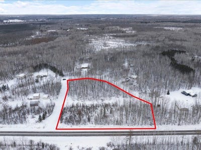 /international/us/willow-river-drive-ne-remer-mn-110105116970/