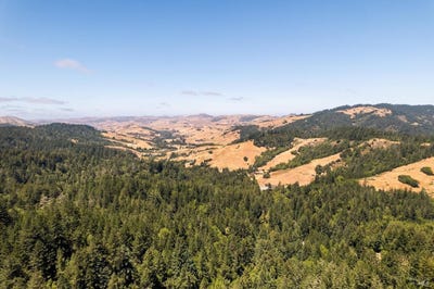 /international/us/1401-nicasio-valley-road-nicasio-ca-110120413967/
