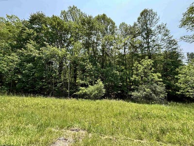 /international/us/barbour-county-highway-philippi-wv-110099955620/