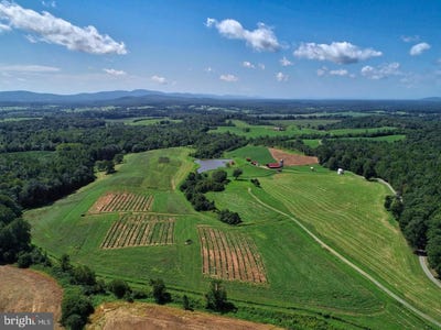 /international/us/2427-s-blue-ridge-turnpike-rochelle-va-110096801009/