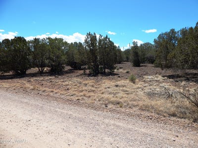 /international/us/8337-navajo-drive-show-low-az-110101263043/?lang=pt